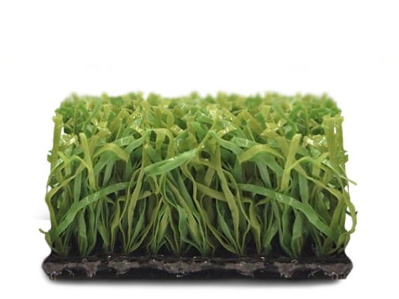 Proturf Golf