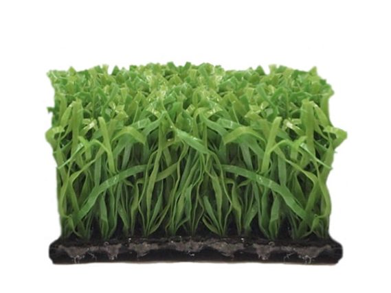 Proturf Club