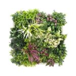 Cadre de jardin vertical