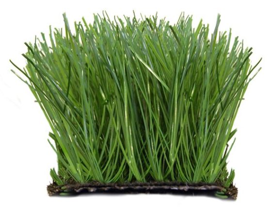 Proturf XT