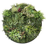 Cadre de jardin vertical