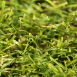 Fibres bicolores vert et beige du gazon synthétique Vita Jardin